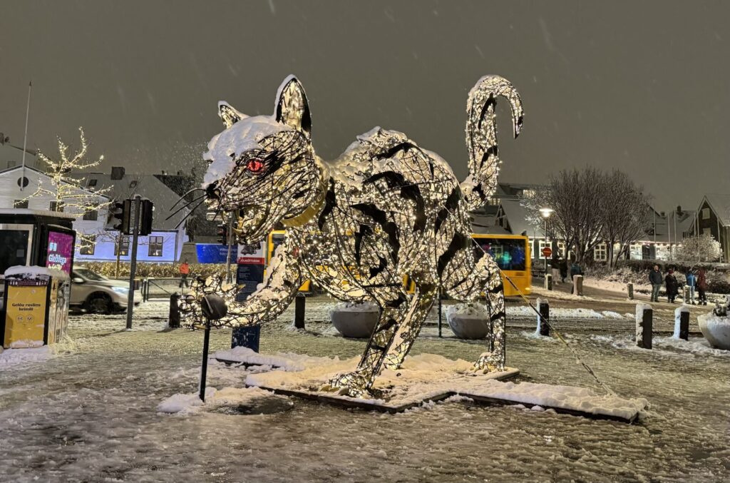 Lækjartorg - この広場には冬になるとThe Christmas Cat = ユール猫の大きい人形が飾られます。