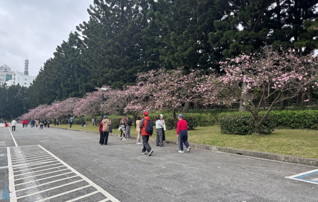 中正紀念堂 庭園