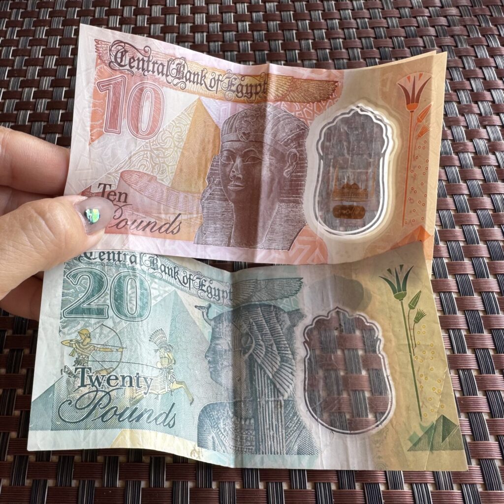 10と20エジプトポンド　紙幣