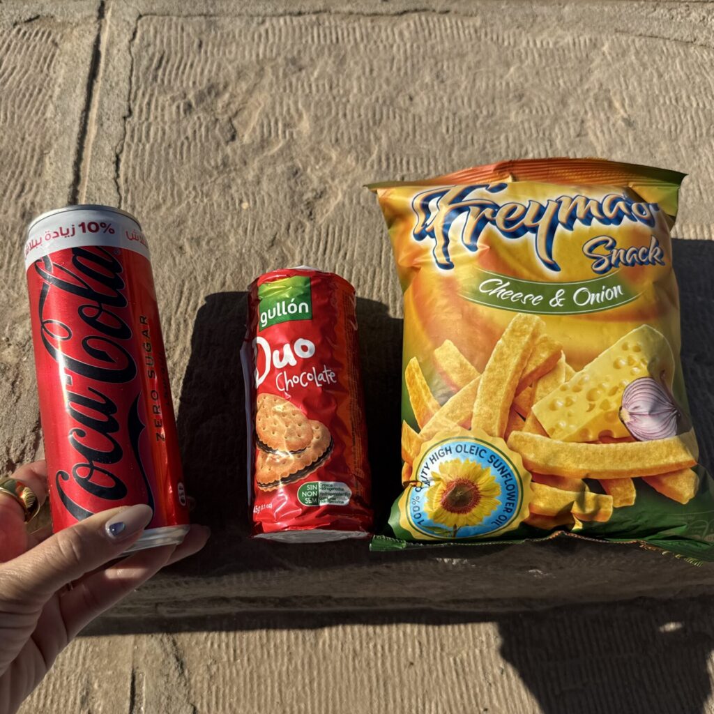 アスワン遺跡内：750EGP