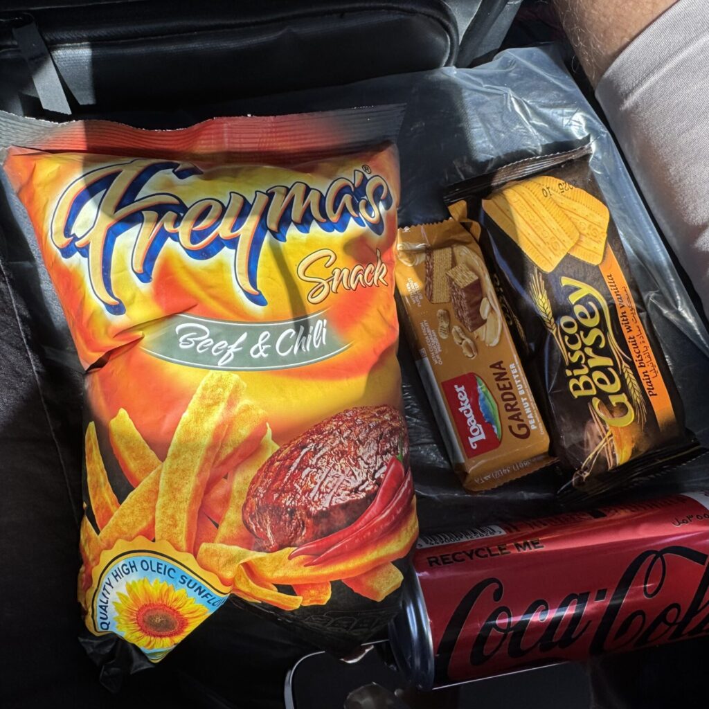 アスワン遺跡内：700EGP