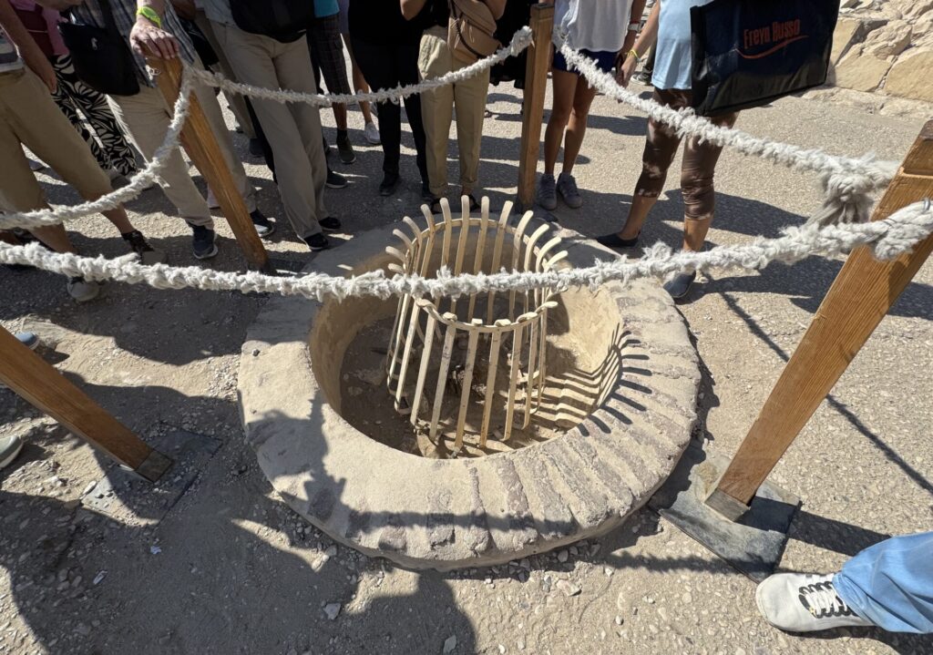 ハチェプスト女王葬祭殿：ペルセアの木の跡