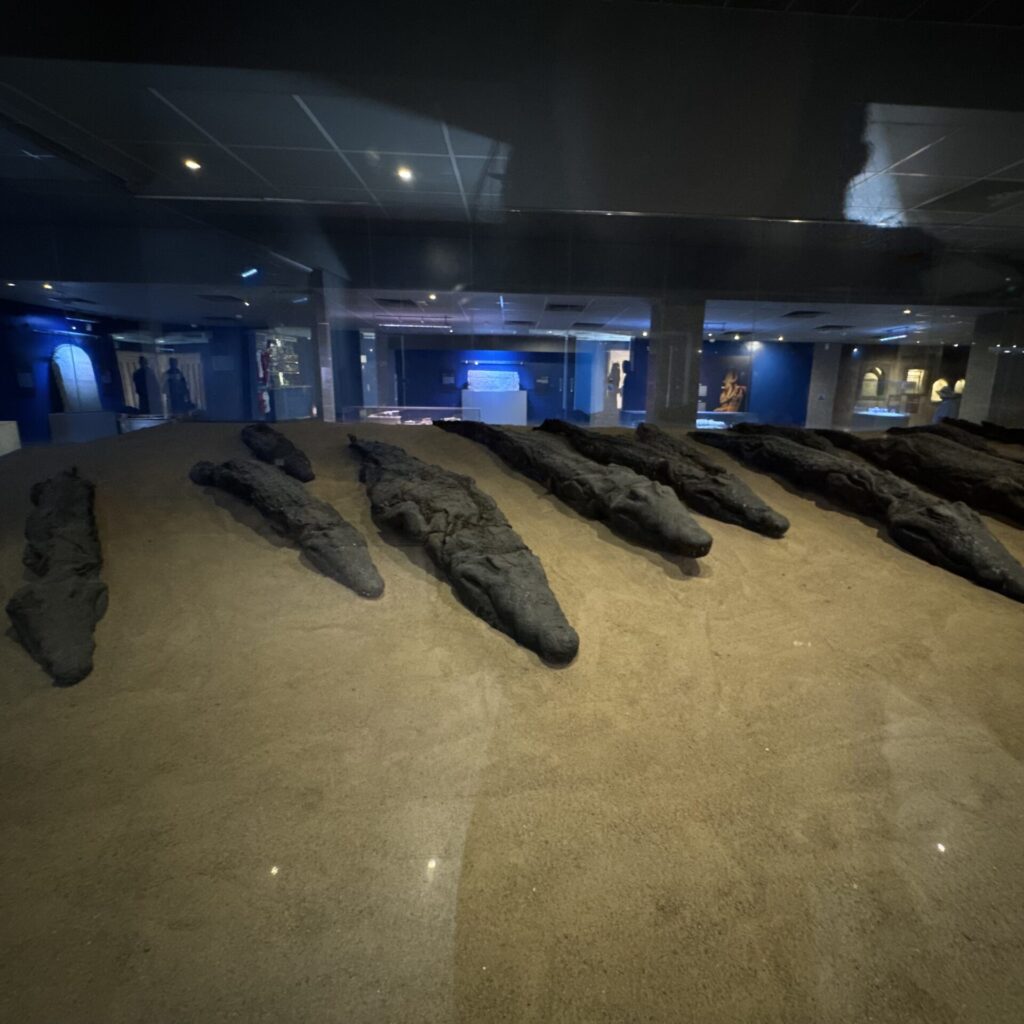 コム・オンボ神殿　ワニのミイラ