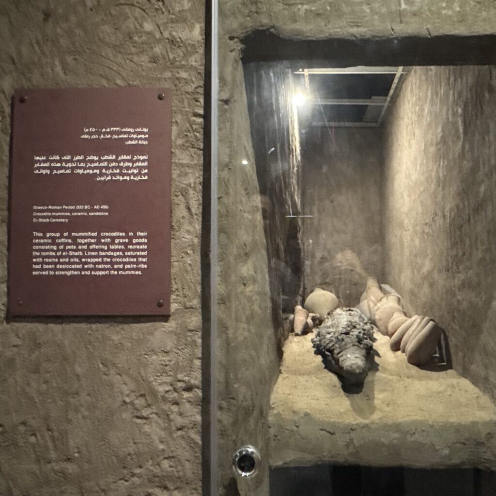 コム・オンボ神殿　ワニのミイラ