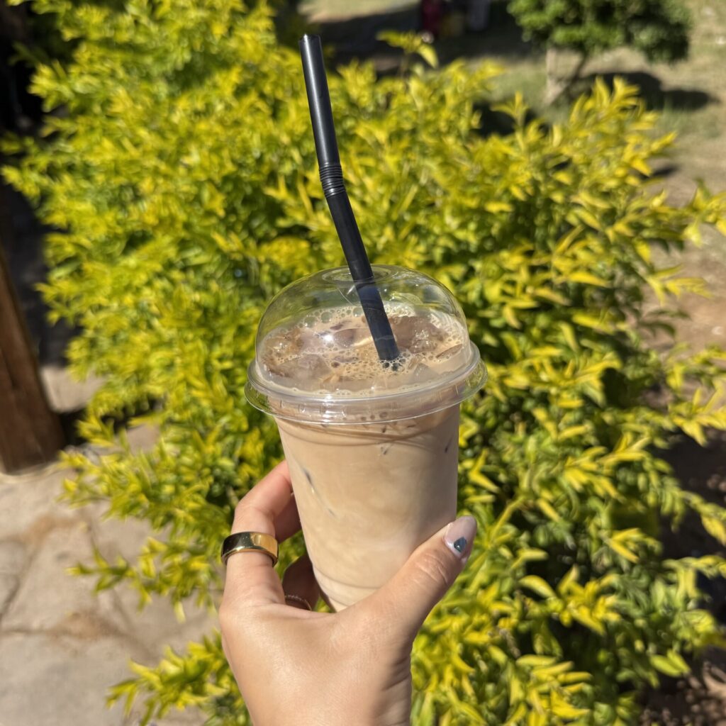 アブ・シンベル神殿 売店で買ったもの