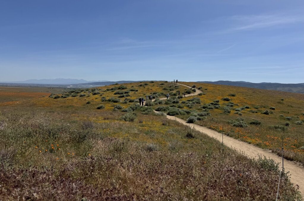 アンテロープバレー保護区　展望スポット