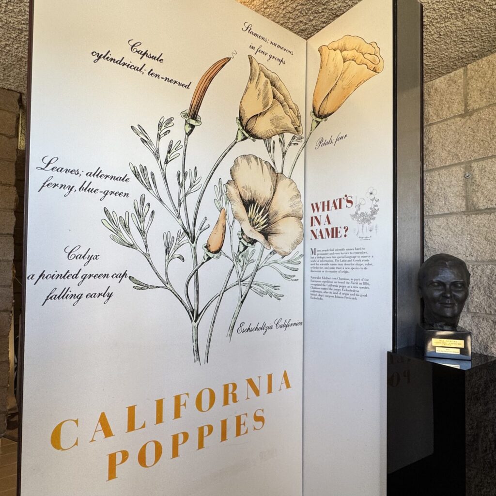 アンテロープバレー保護区　ビジターセンター