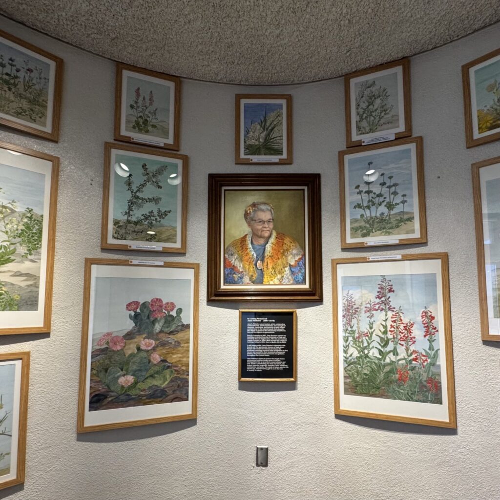 アンテロープバレー保護区　ビジターセンター